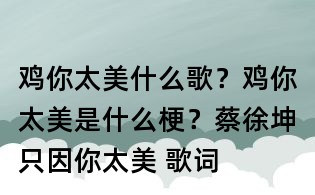 雞你太美什么歌?雞你太美是什么梗?蔡徐坤只因你太美 歌詞