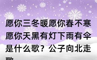 愿你三冬暖愿你春不寒愿你天黑有燈下雨有傘是什么歌？公子向北走歌詞