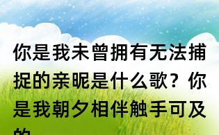 你是我未曾擁有無法捕捉的親昵是什么歌?你是我朝夕相伴觸手可及的虛擬什么歌?陳粒虛擬歌詞