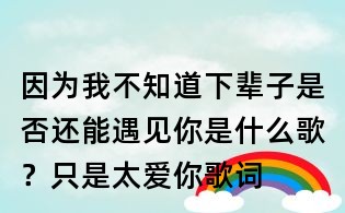 因為我不知道下輩子是否還能遇見你是什么歌?只是太愛你歌詞