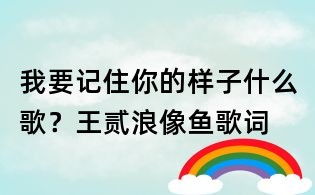 我要記住你的樣子什么歌?王貳浪像魚歌詞