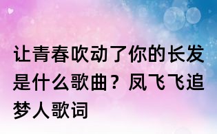 讓青春吹動了你的長發是什么歌曲?鳳飛飛追夢人歌詞