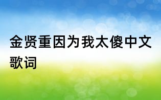 金賢重因為我太傻中文歌詞