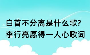 白首不分離是什么歌?李行亮愿得一人心歌詞