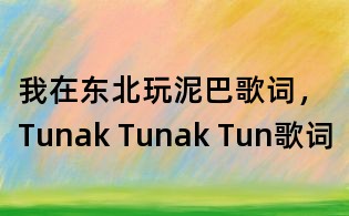 我在東北玩泥巴歌詞,Tunak Tunak Tun歌詞