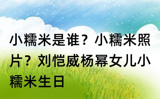 小糯米是誰?小糯米照片?劉愷威楊冪女兒小糯米生日