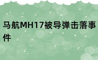 馬航MH17被導(dǎo)彈擊落事件