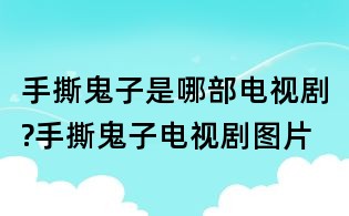 手撕鬼子是哪部電視劇?手撕鬼子電視劇圖片