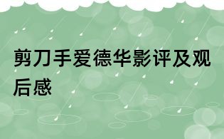 剪刀手愛德華影評及觀后感