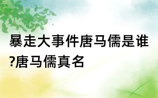 暴走大事件唐馬儒是誰?唐馬儒真名