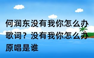 何潤東沒有我你怎么辦歌詞?沒有我你怎么辦原唱是誰