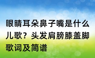 眼睛耳朵鼻子嘴是什么兒歌?頭發肩膀膝蓋腳歌詞及簡譜