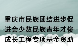 重慶市民族團結進步促進會少數民族青年才俊成長工程專項基金資助申請表