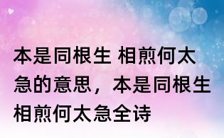 本是同根生 相煎何太急的意思，本是同根生相煎何太急全詩