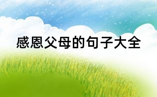 感恩父母的句子大全