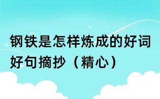 鋼鐵是怎樣煉成的好詞好句摘抄（精心）