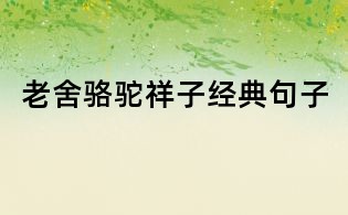 老舍駱駝祥子經典句子