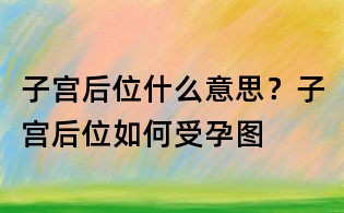 子宮后位什么意思?子宮后位如何受孕圖