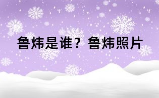 魯煒是誰?魯煒照片