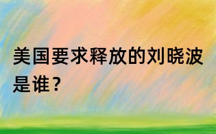 美國要求釋放的劉曉波是誰?