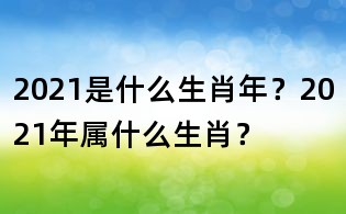 2021是什么生肖年？2021年屬什么生肖？