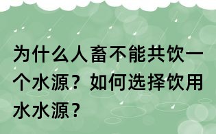 為什么人畜不能共飲一個水源？如何選擇飲用水水源？
