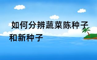 如何分辨蔬菜陳種子和新種子