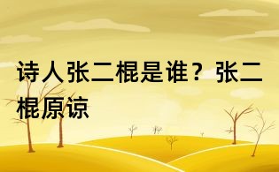 詩人張二棍是誰?張二棍原諒
