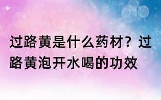 過路黃是什么藥材?過路黃泡開水喝的功效