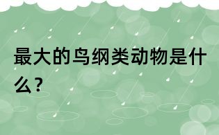 最大的鳥(niǎo)綱類(lèi)動(dòng)物是什么?