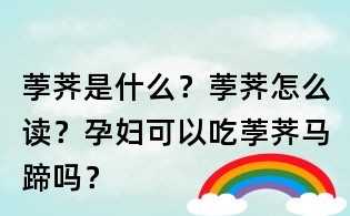 荸薺是什么?荸薺怎么讀?孕婦可以吃荸薺馬蹄嗎?