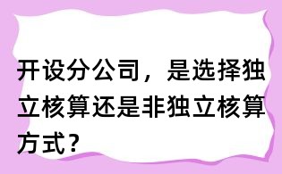 開設(shè)分公司,是選擇獨立核算還是非獨立核算方式?