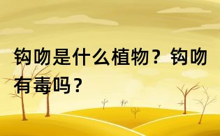 鉤吻是什么植物?鉤吻有毒嗎?