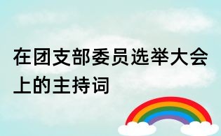 在團支部委員選舉大會上的主持詞