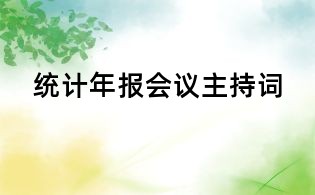 統(tǒng)計(jì)年報(bào)會(huì)議主持詞