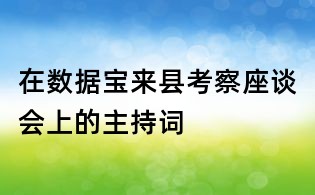 在數(shù)據(jù)寶來縣考察座談會上的主持詞