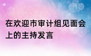 在歡迎市審計組見面會上的主持發言