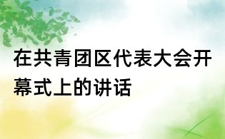 在共青團區(qū)代表大會開幕式上的講話