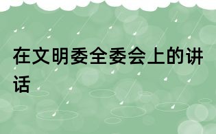 在文明委全委會上的講話