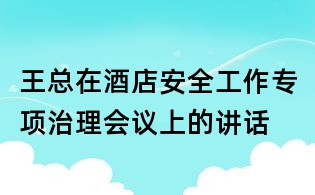 王總在酒店安全工作專項治理會議上的講話