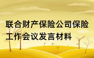 聯合財產保險公司保險工作會議發言材料