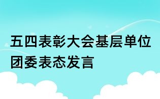 五四表彰大會基層單位團委表態發言