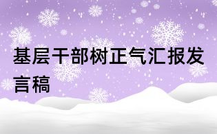 基層干部樹正氣匯報發言稿