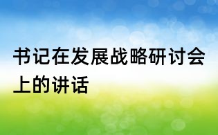 書記在發展戰略研討會上的講話