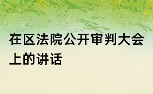 在區(qū)法院公開審判大會(huì)上的講話