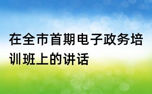 在全市首期電子政務培訓班上的講話