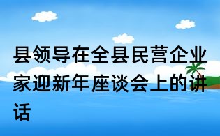縣領(lǐng)導(dǎo)在全縣民營企業(yè)家迎新年座談會上的講話