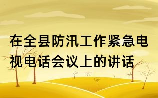 在全縣防汛工作緊急電視電話會議上的講話