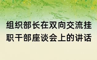 組織部長在雙向交流掛職干部座談會上的講話
