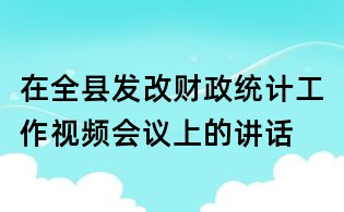 在全縣發改財政統計工作視頻會議上的講話